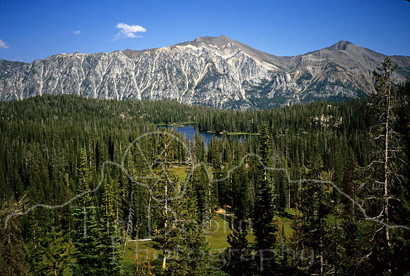 IMG821.jpg