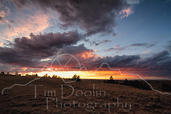 Antelope Camp--2011--12