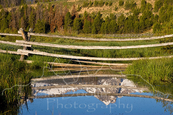 Sawtooths summer 2008-0725.jpg