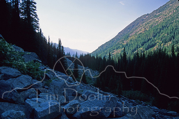 IMG792.jpg