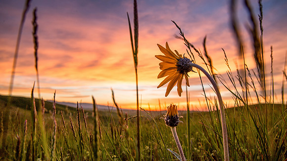 Sunset from Trail Ridge--11