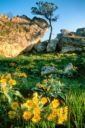 00104Scan-101128-0001-Edit