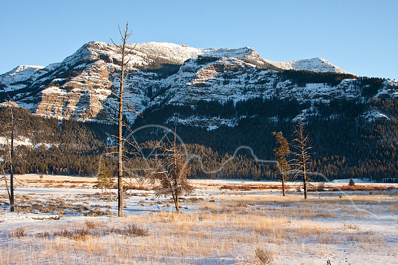 Yellowstone in Winter--December 2009-9712.jpg