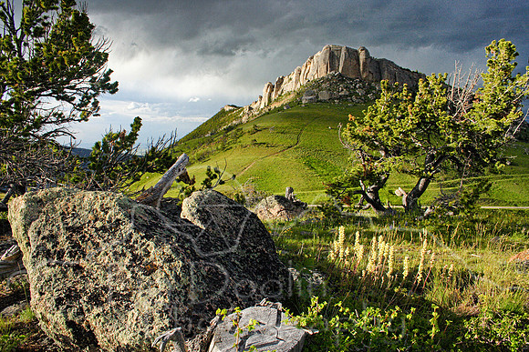 Steamboat Thunderhead_0013