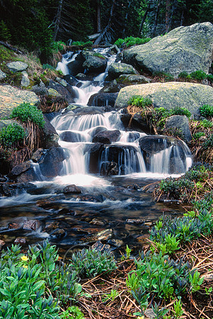 00113Scan-101128-0002-Edit
