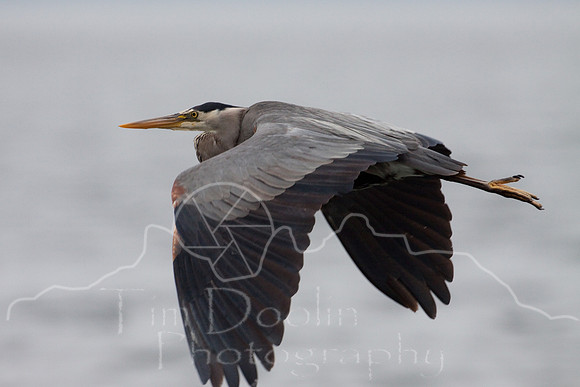 Orcas Island-7117.jpg
