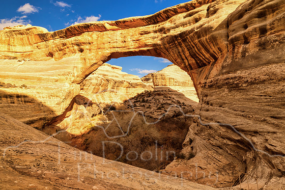 FN9A8735_6_7_8_9-Edit