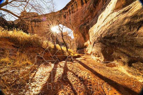 FN9A8905-Edit