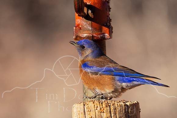 5D9A8234-Edit