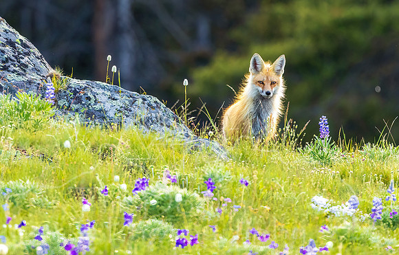 5D9A9208-Edit