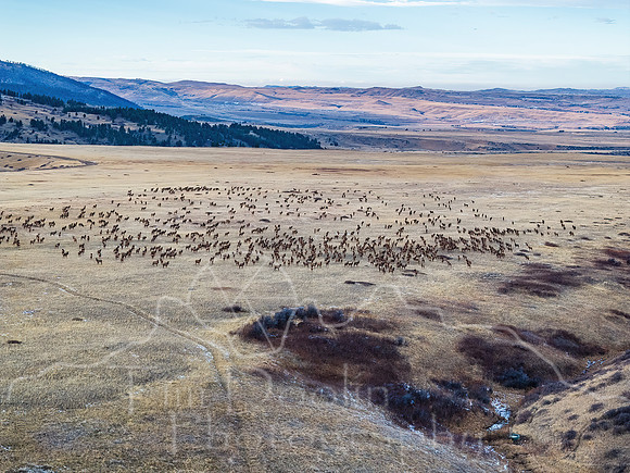 DJI_20241123154509_0003_D-Edit