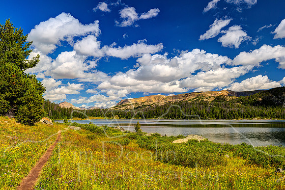 FN9A1877_78_79_80_81-Edit