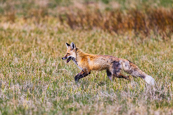 FN9A6341-Edit