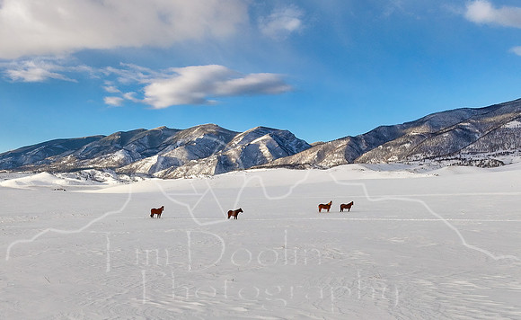 DJI_20250319073734_0007_D-Edit