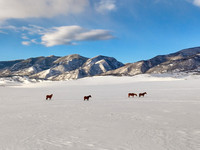 DJI_20250319073743_0008_D-Edit