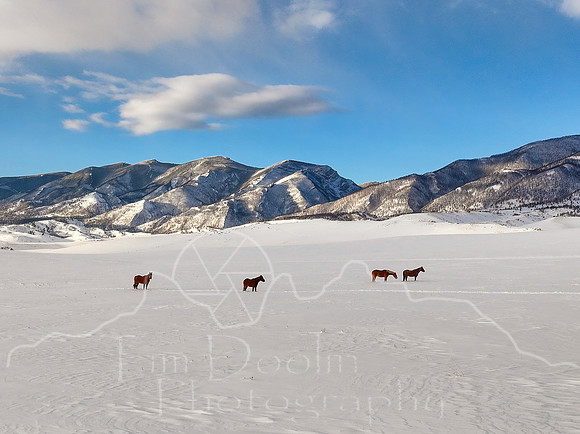 DJI_20250319073743_0008_D-Edit