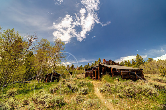 FN9A0590_1_2_3_4-Edit