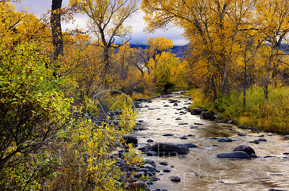 5D9A3630_1_2_3_4-2