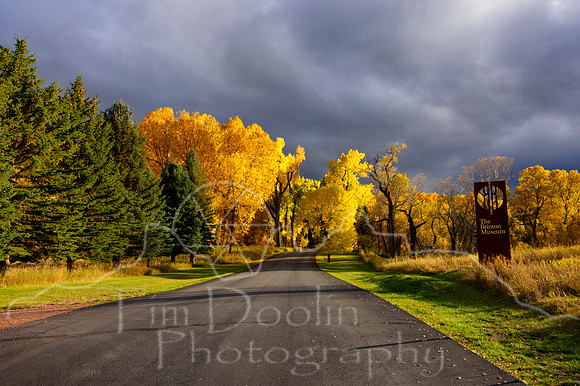 5D9A3535_6_7_8_9-2