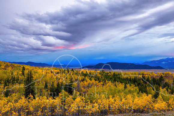 5D9A0974-Edit