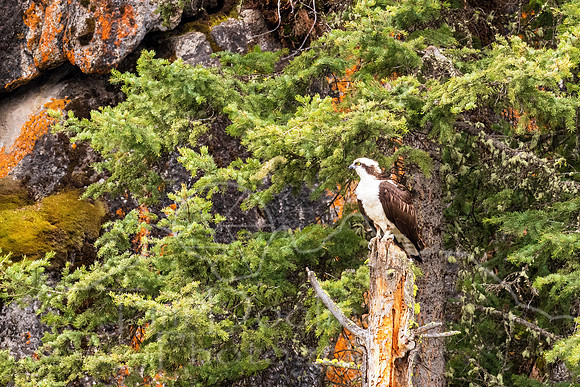 5D9A5672-Edit