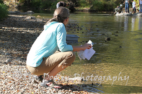 Stream Flow Analysis-4919