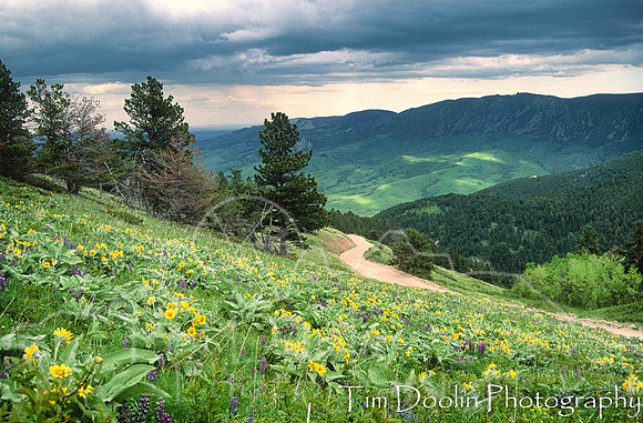 Sheridan and Bighorns--2