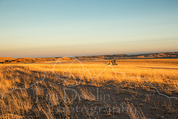 1N1B2805-Edit