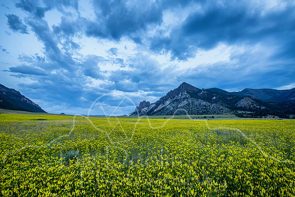 5A9A8267-Edit