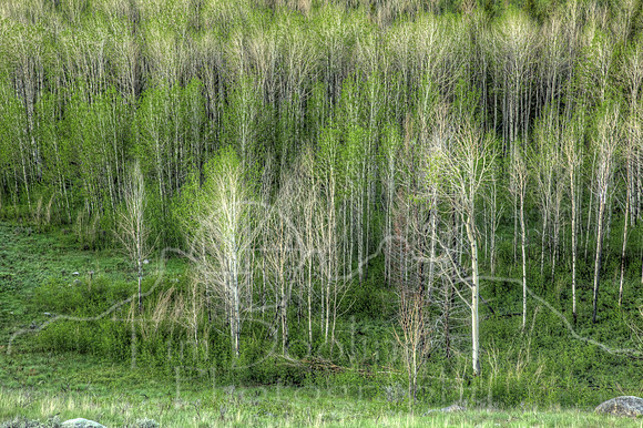 5A9A4739_40_41