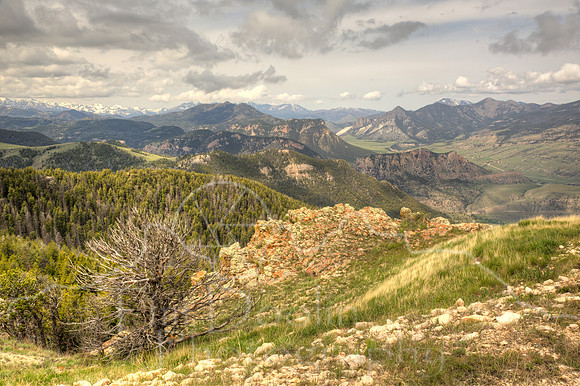 5A9A4748_49_50-2