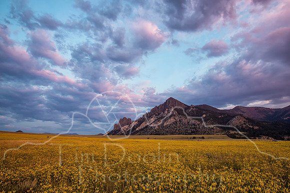 5A9A8309-Edit