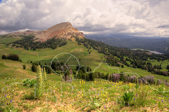 ZGardiner Lake Panorama--Beartooths--July 2015-9785 Panorama--1And2more-3