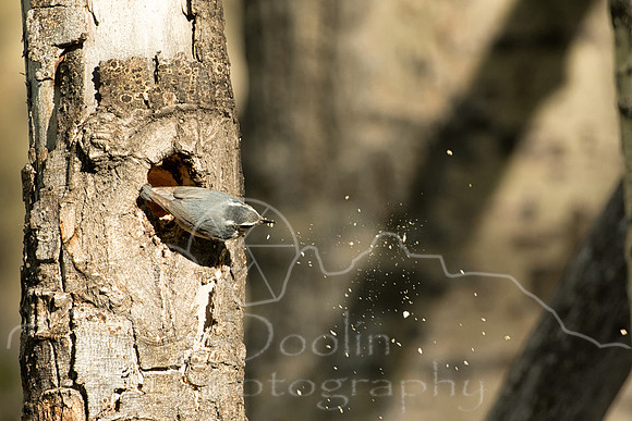 BU1A4749-Edit