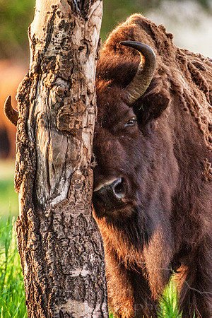 IMG_0490-Edit