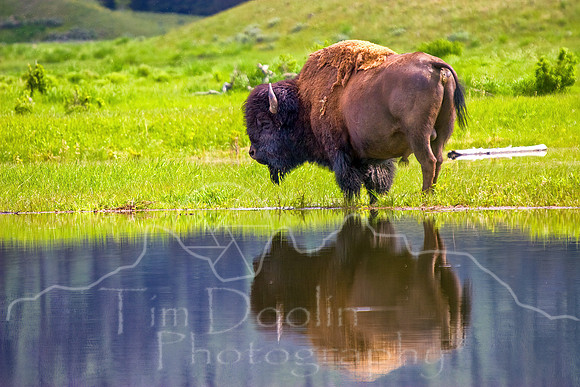 Yellowstone 2008-0001-Edit