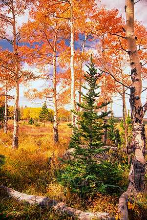 00109Scan-101128-0001-Edit