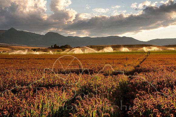 IMG_4551-Edit