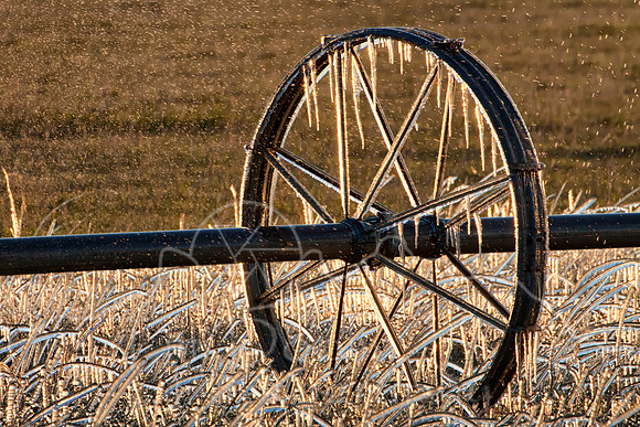 Sheridan County  May 2012-7700-Edit