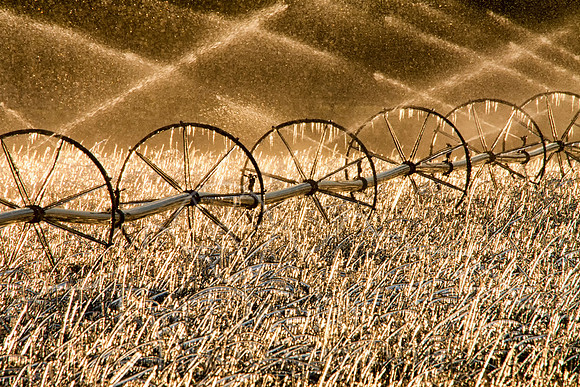 Sheridan County  May 2012-7712-Edit
