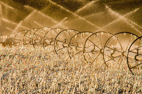 Sheridan County  May 2012-7749-Edit