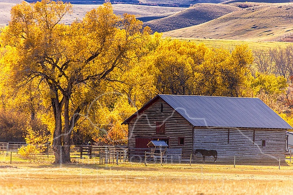 5D9A9681-Edit