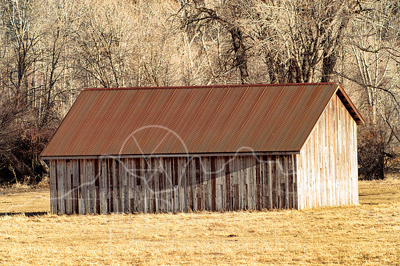 A83I6198-Edit