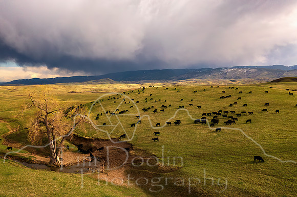 DJI_0199-Edit
