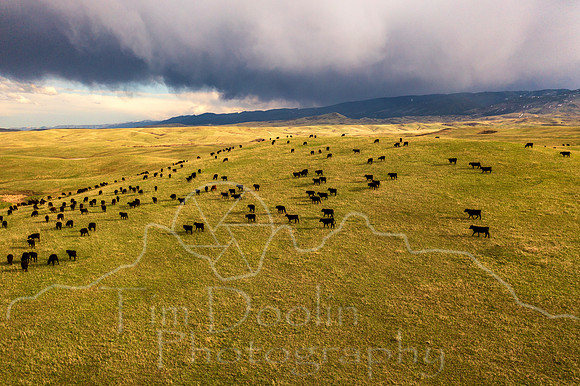 DJI_0203-Edit