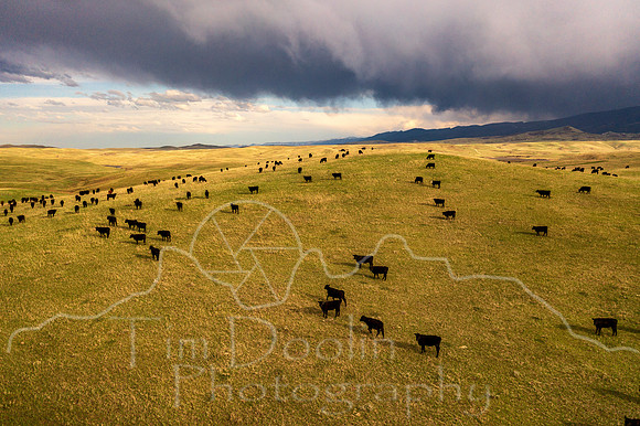 DJI_0202-Edit