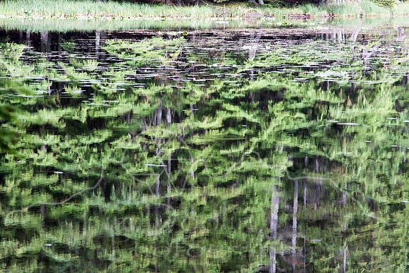 Orcas Island--16