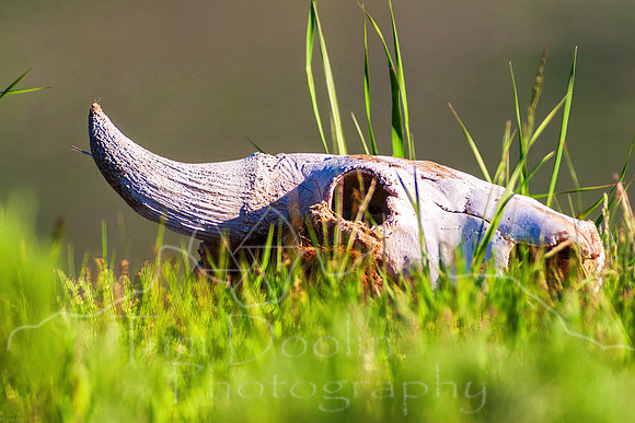 IMG_2380-Edit