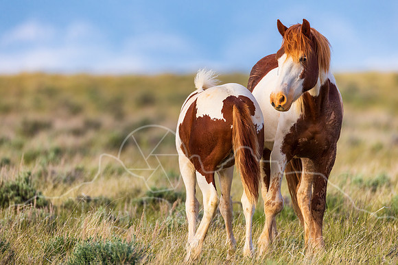 5D9A8643-Edit-Edit