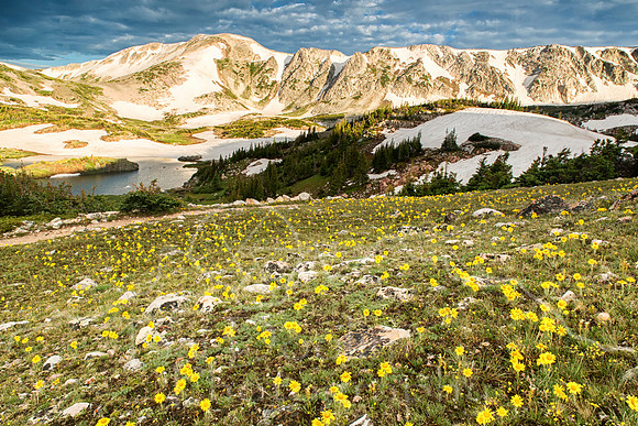 Wyoming Trip--summer 2014--21
